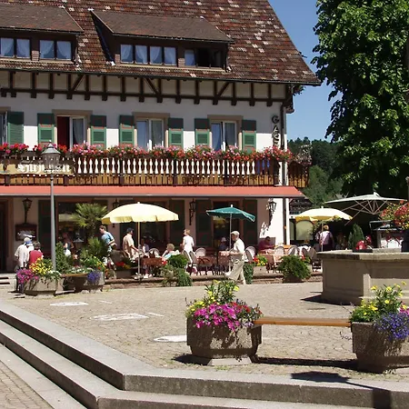 Hirschen Sankt Peter