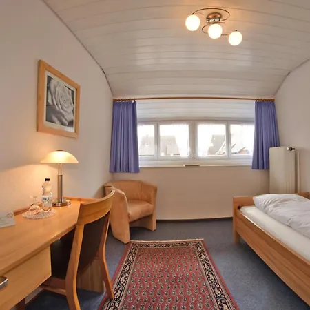 Hirschen 3* סאנקט פטר