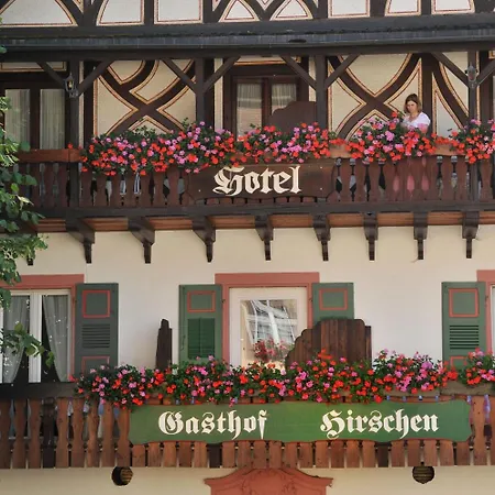 Hirschen מלון 3*