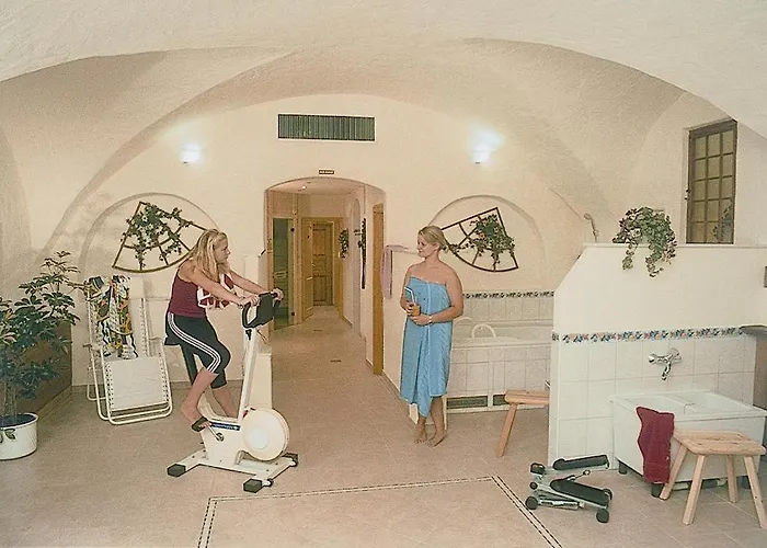 酒店 赫斯臣酒店 3*