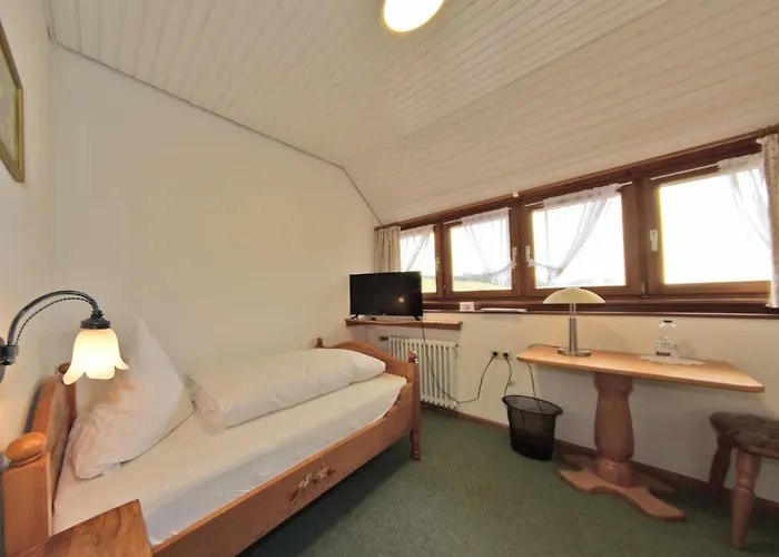 מלון Hirschen 3*